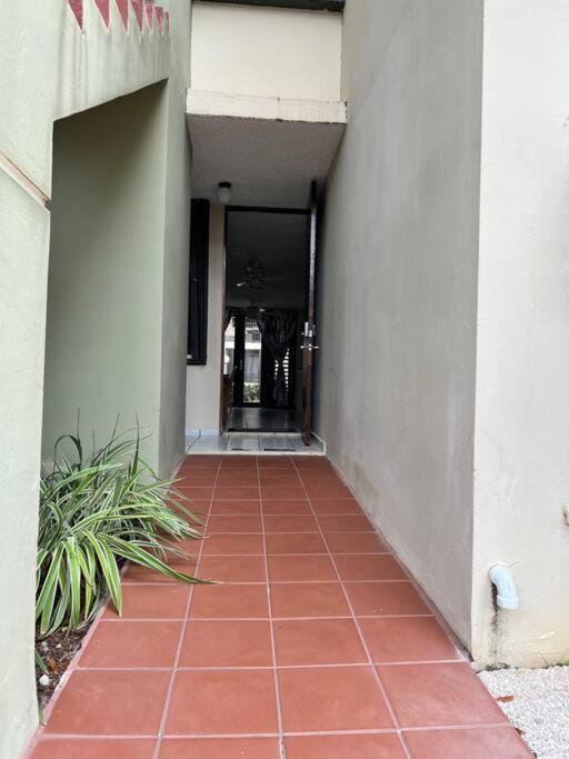 Entire Beach Apartment With View To El Yunque National Rain Forest Río Grande Exterior foto